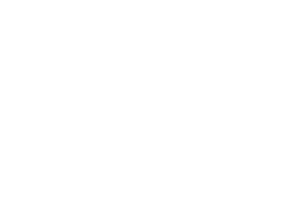 Adams Hamilton Logo